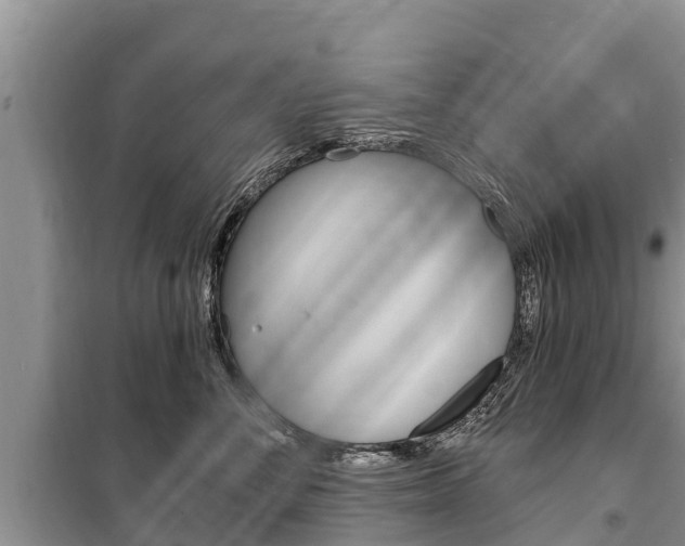 X0000100470716200806130754