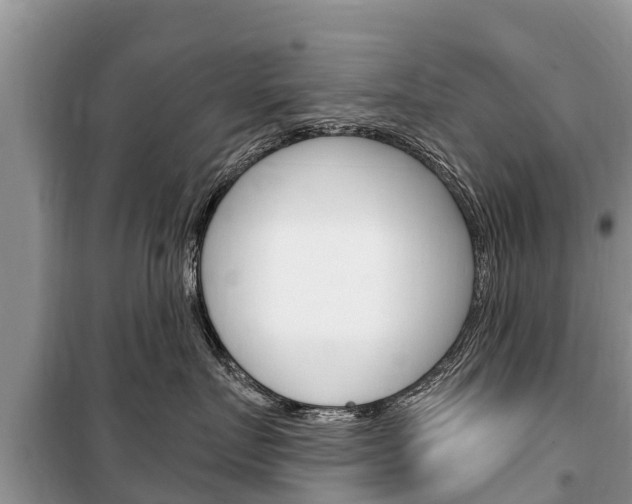 X0000100470719200806130754