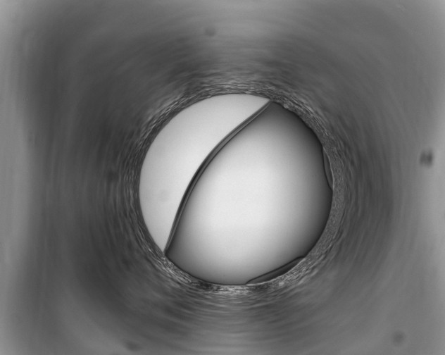 X0000100470720200806130754