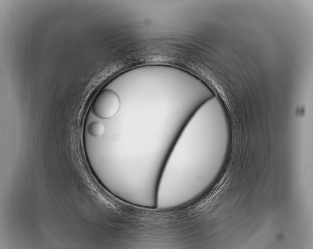 X0000100470721200806130754