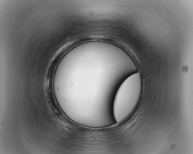 X0000100470723200806130754