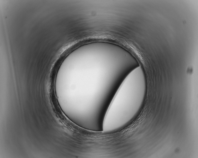 X0000100470724200806130754