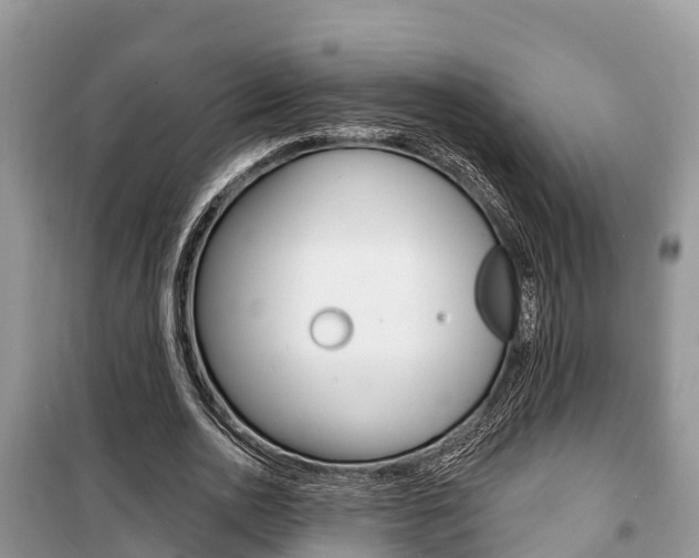 X0000100470726200806130754