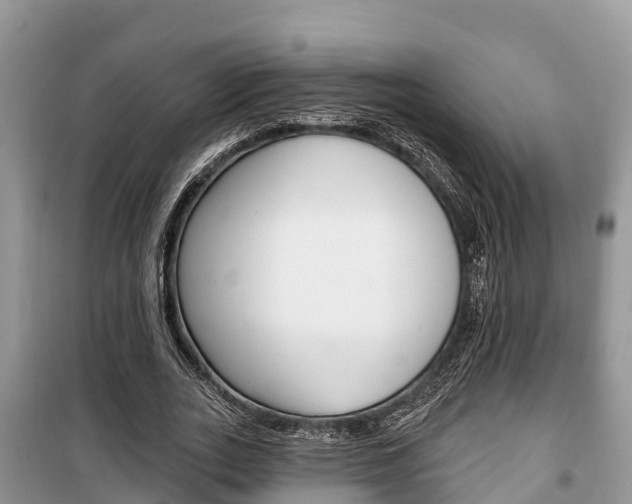 X0000100470727200806130754