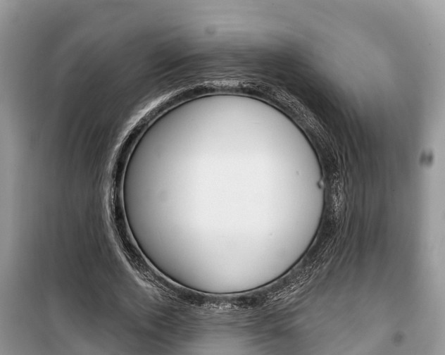 X0000100470728200806130754
