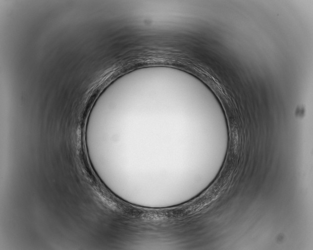 X0000100470729200806130754