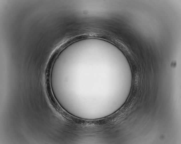 X0000100470730200806130754