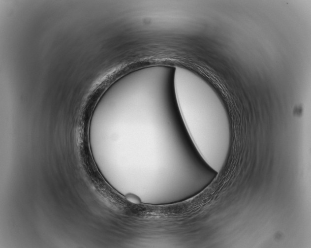 X0000100470732200806130754