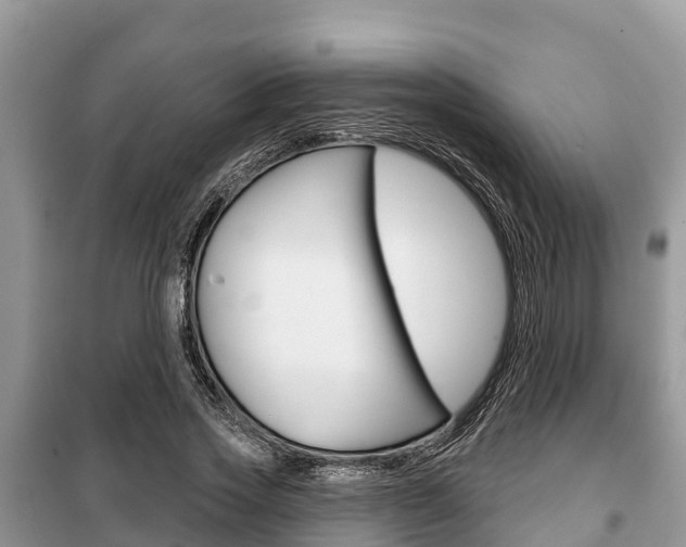 X0000100470733200806130754