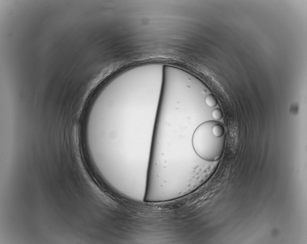 X0000100470734200806130754