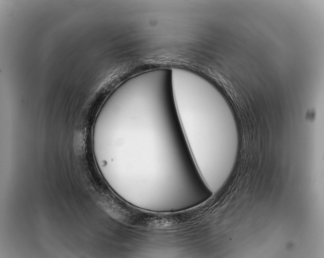 X0000100470735200806130754