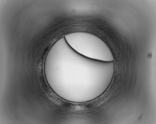 X0000100470737200806130754