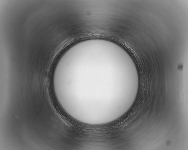 X0000100470738200806130754