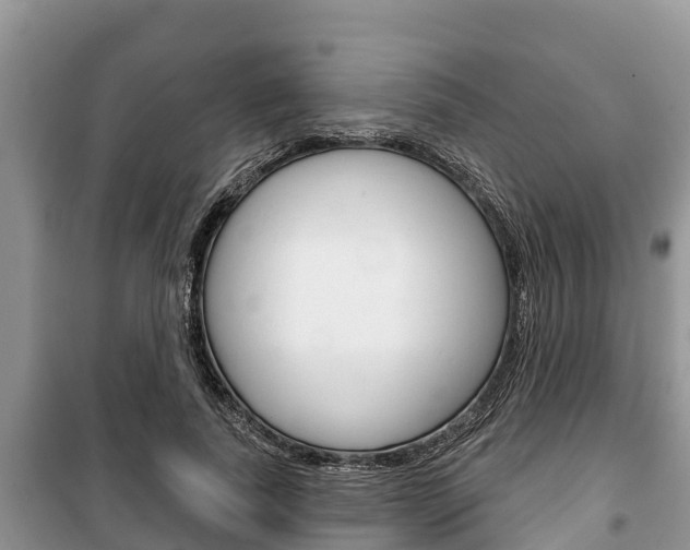 X0000100470739200806130754