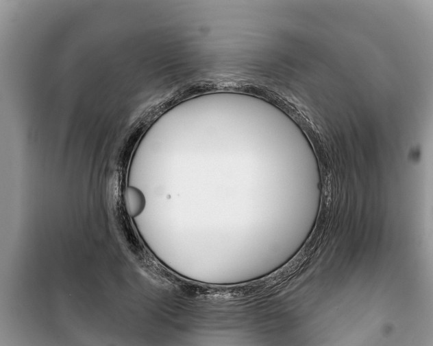 X0000100470740200806130754
