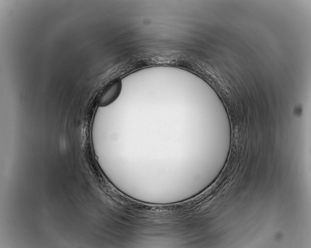 X0000100470741200806130754