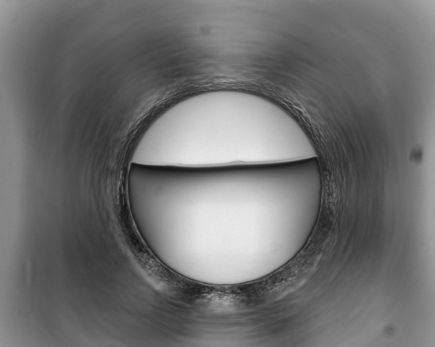 X0000100470742200806130754