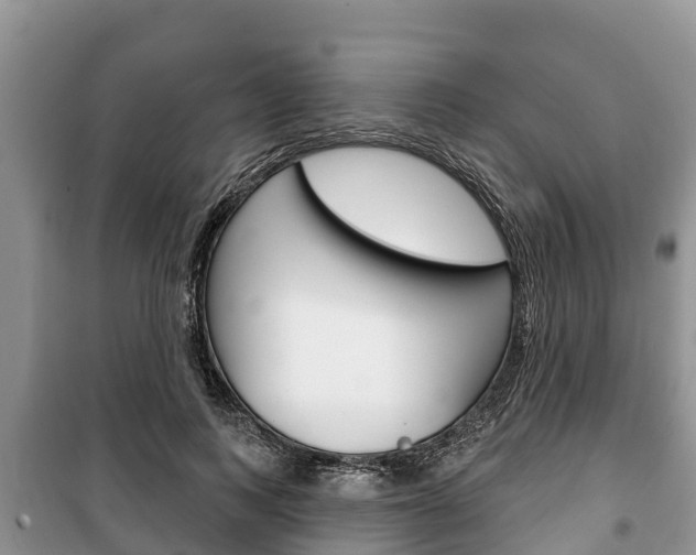 X0000100470743200806130754