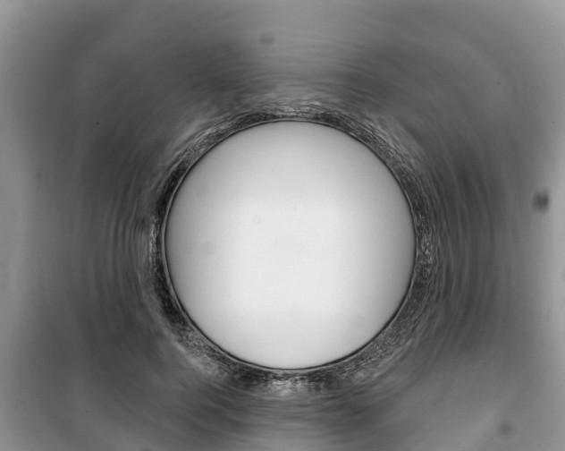 X0000100470744200806130754