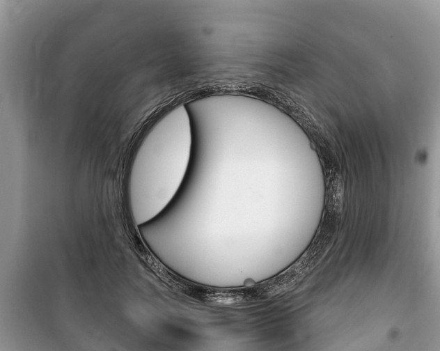X0000100470746200806130754