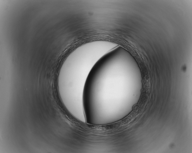 X0000100470750200806130754