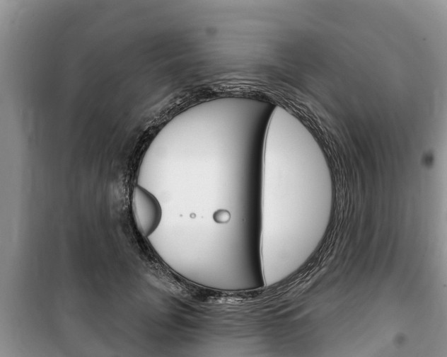 X0000100470751200806130754