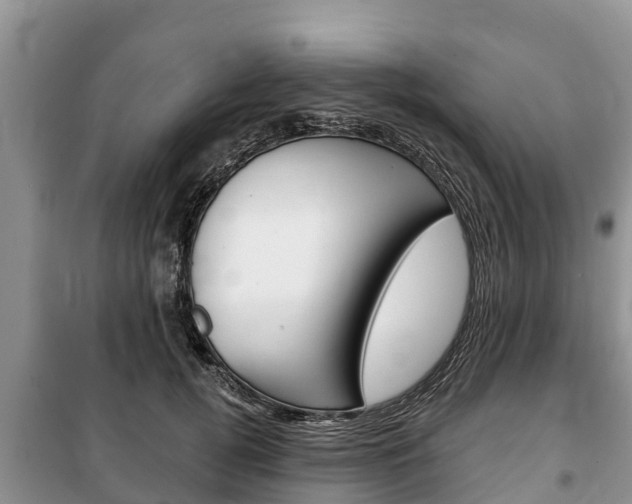 X0000100470752200806130754