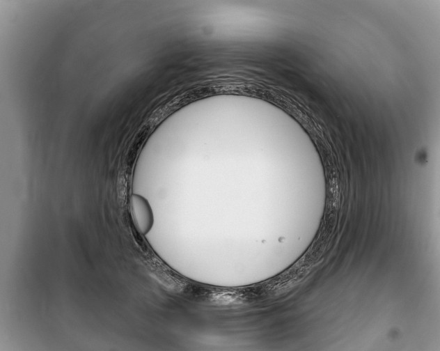 X0000100470753200806130754