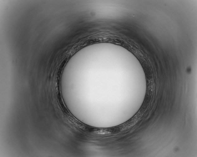 X0000100470754200806130754