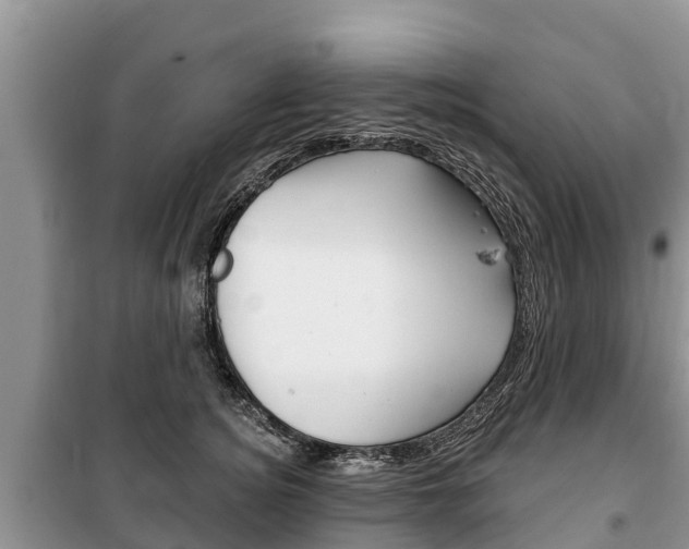 X0000100470756200806130754