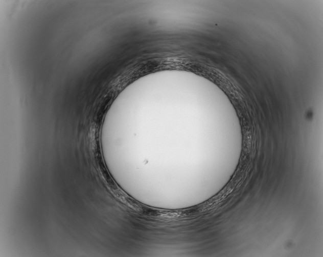 X0000100470757200806130754