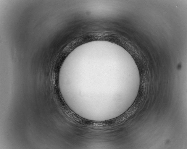 X0000100470758200806130754