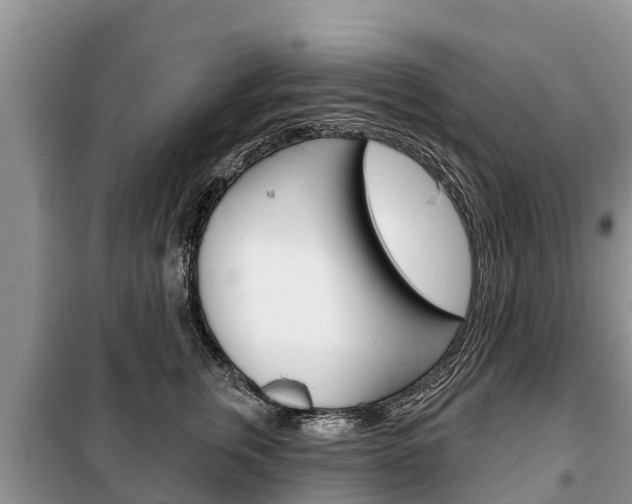 X0000100470759200806130754