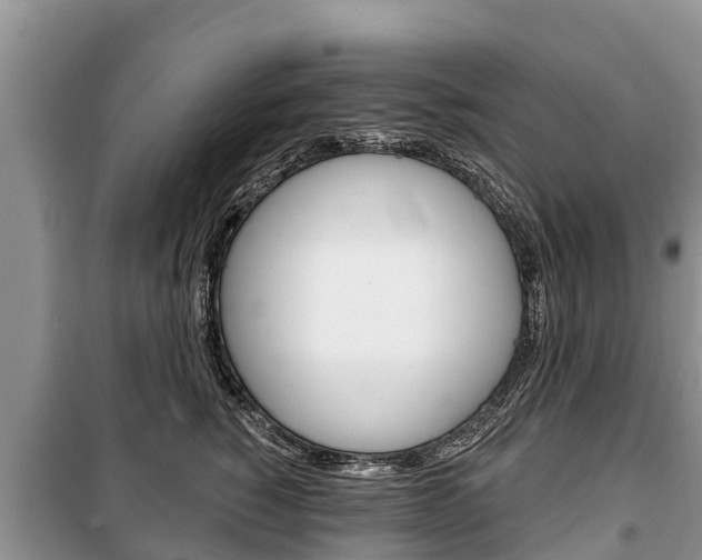 X0000100470760200806130754