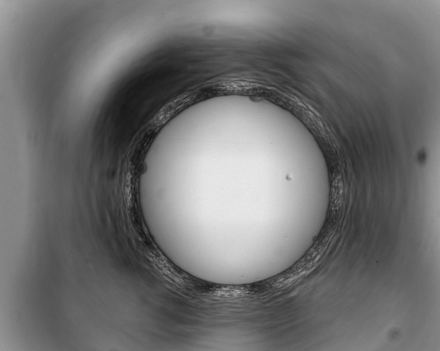 X0000100470762200806130754