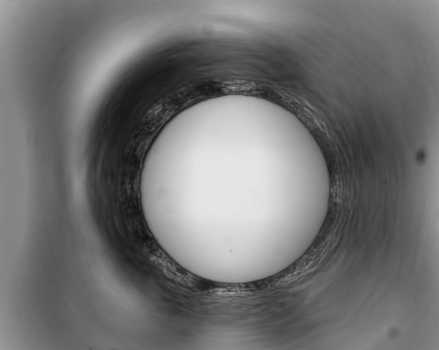 X0000100470763200806130754