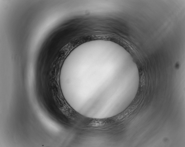 X0000100470764200806130754