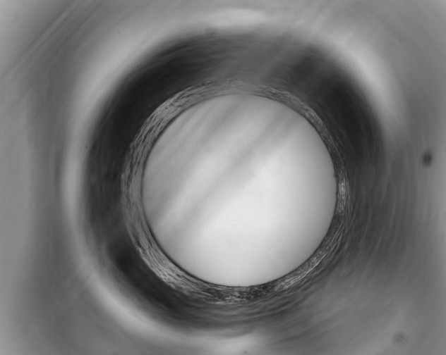 X0000100470765200806130754