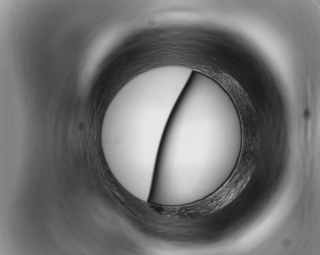 X0000100470766200806130754