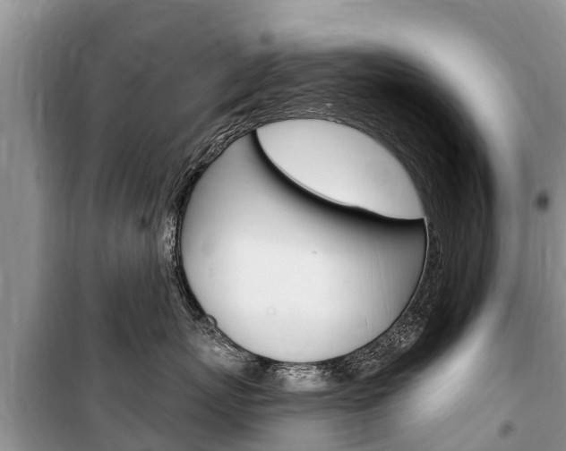 X0000100470767200806130754