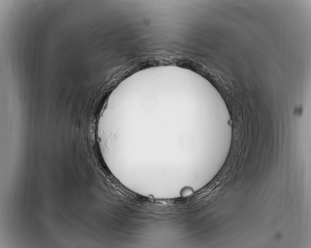 X0000100470768200806130754