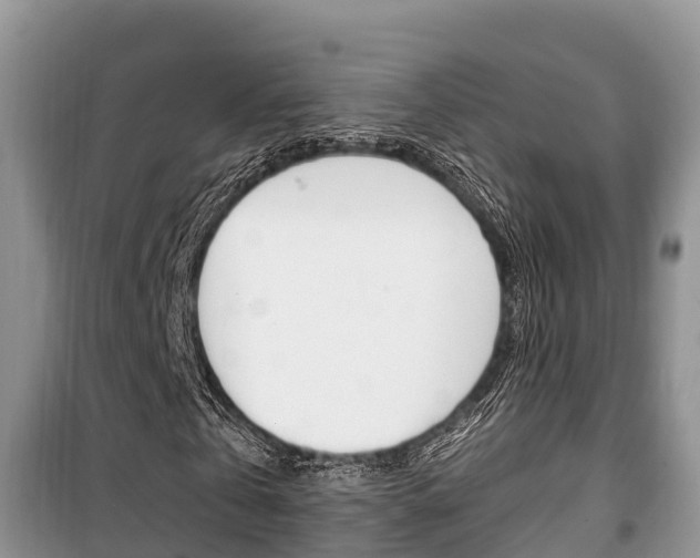 X0000100470769200806130754