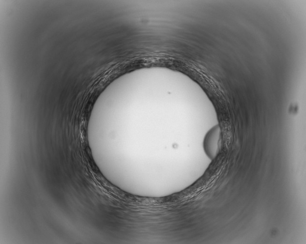 X0000100470770200806130754