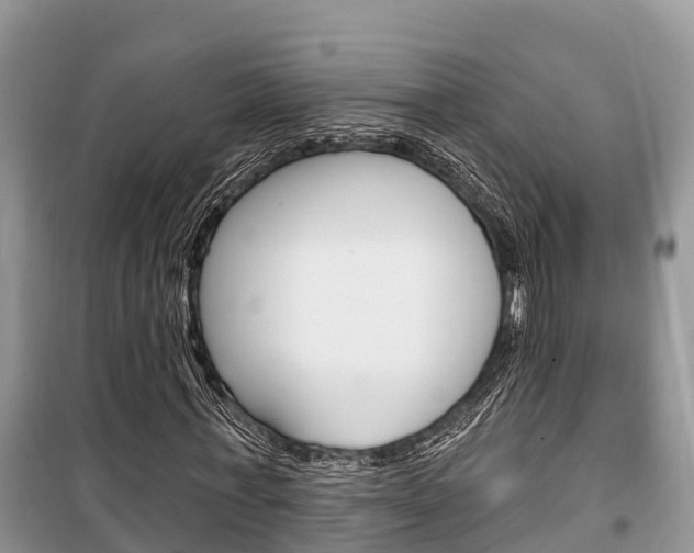 X0000100470771200806130754