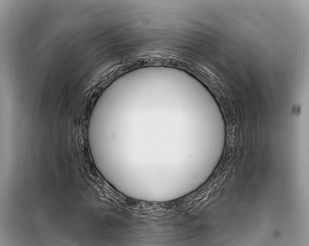 X0000100470774200806130754