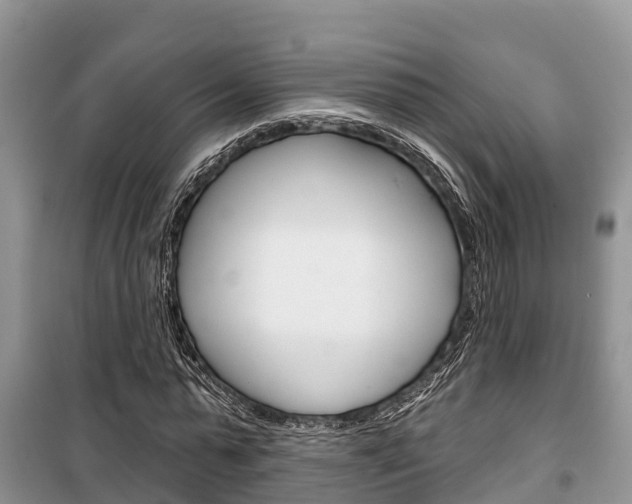 X0000100470775200806130754