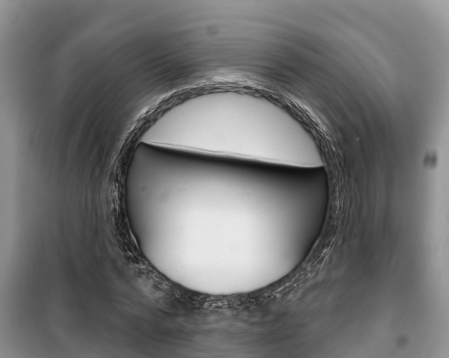 X0000100470776200806130754
