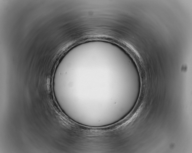 X0000100470777200806130754