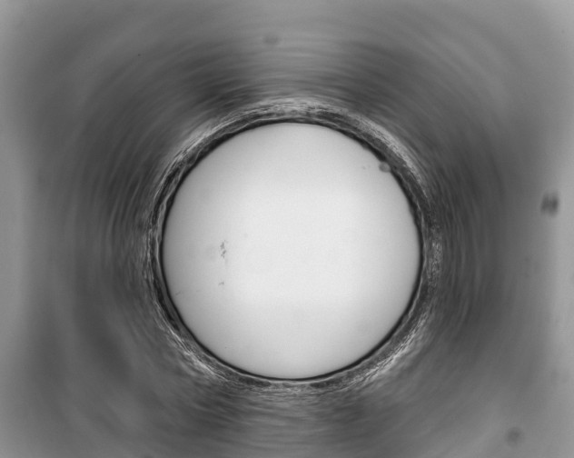 X0000100470778200806130754