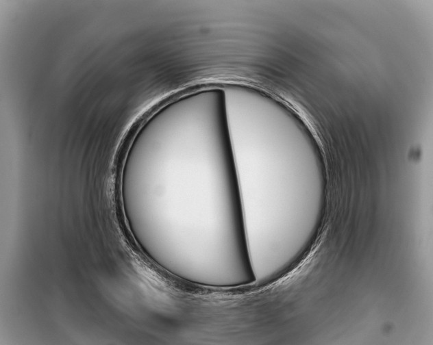 X0000100470779200806130754